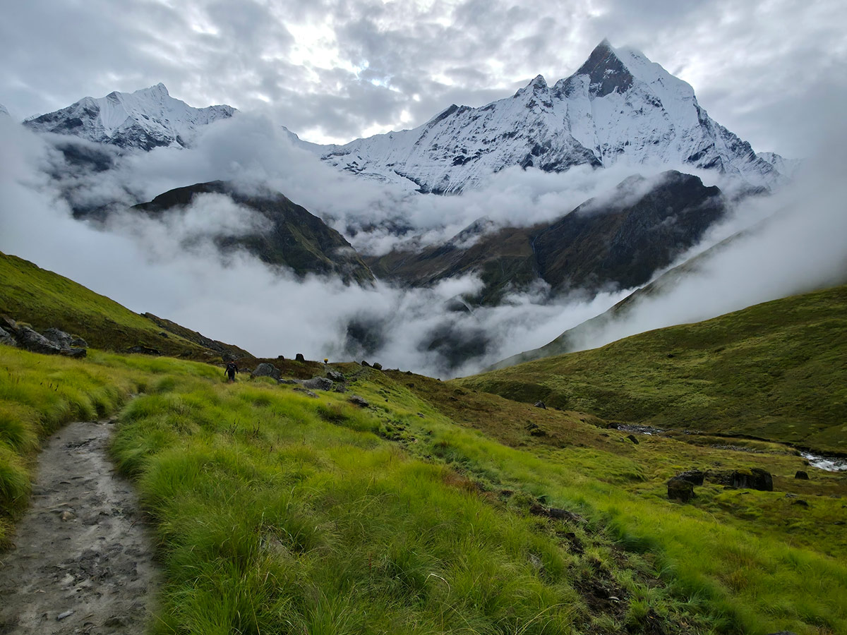 Monsoon magic — Annapurna’s trails wrapped in lush green.